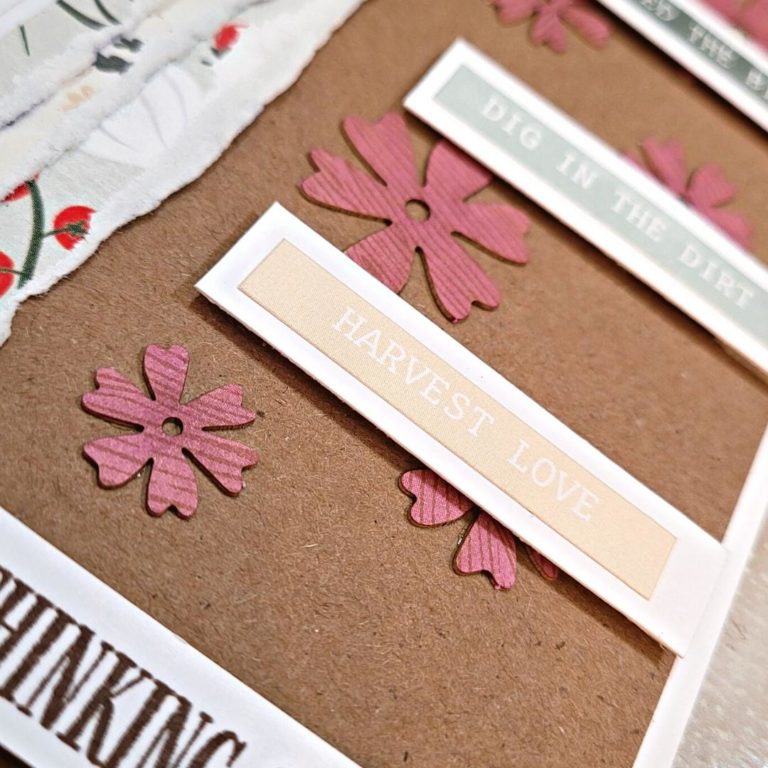 Card Close Up